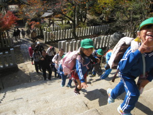 2016_1118_103337-img_0647